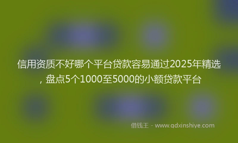 信用资质不好哪个平台贷款容易通过2025年精选，盘点5个1000至5000的小额贷款平台