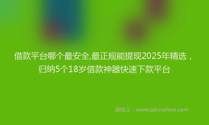 借款平台哪个最安全,最正规能提现2025年精选，归纳5个18岁借款神器快速下款平台