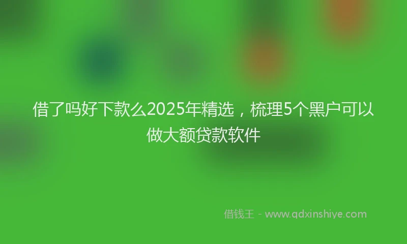 借了吗好下款么2025年精选，梳理5个黑户可以做大额贷款软件