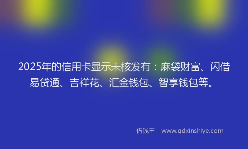 2025年的信用卡显示未核发有：麻袋财富、闪借易贷通、吉祥花、汇金钱包、智享钱包等。