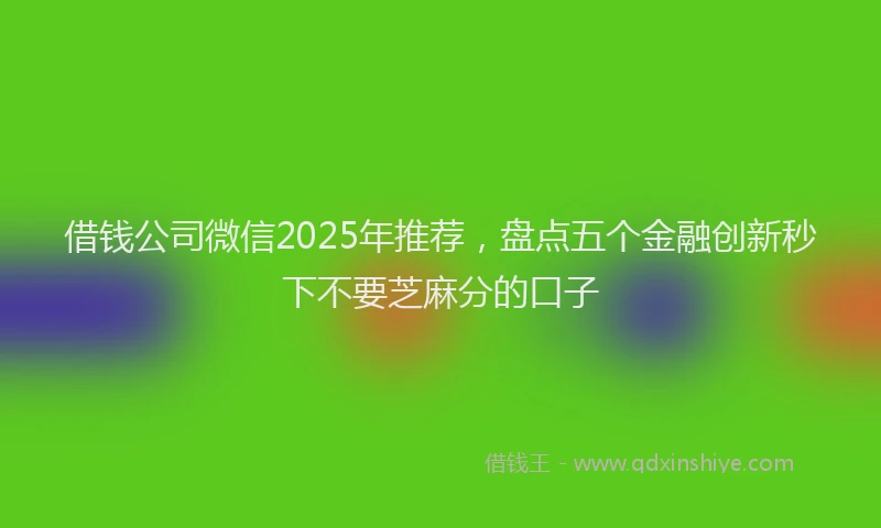 借钱公司微信2025年推荐，盘点五个金融创新秒下不要芝麻分的口子