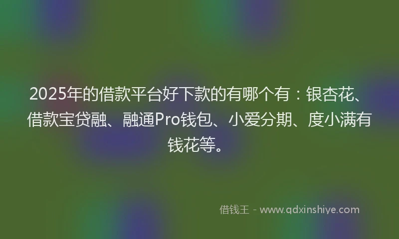 2025年的借款平台好下款的有哪个有：银杏花、借款宝贷融、融通Pro钱包、小爱分期、度小满有钱花等。