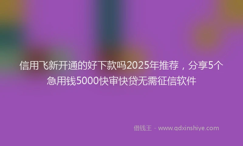 信用飞新开通的好下款吗2025年推荐，分享5个急用钱5000快审快贷无需征信软件