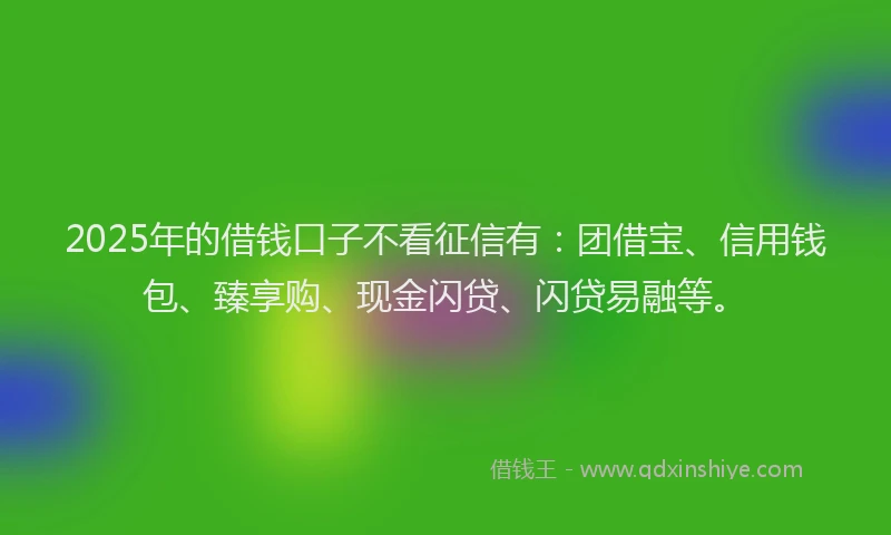 2025年的借钱口子不看征信有：团借宝、信用钱包、臻享购、现金闪贷、闪贷易融等。