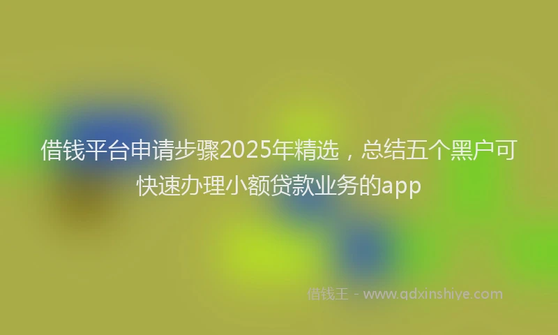 借钱平台申请步骤2025年精选，总结五个黑户可快速办理小额贷款业务的app
