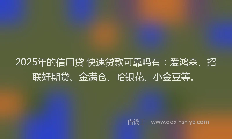 2025年的信用贷 快速贷款可靠吗有：爱鸿森、招联好期贷、金满仓、哈银花、小金豆等。