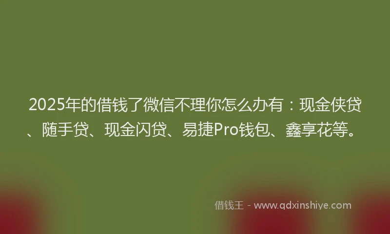 2025年的借钱了微信不理你怎么办有：现金侠贷、随手贷、现金闪贷、易捷Pro钱包、鑫享花等。