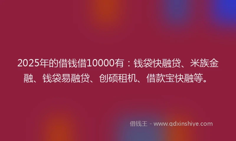 2025年的借钱借10000有：钱袋快融贷、米族金融、钱袋易融贷、创硕租机、借款宝快融等。
