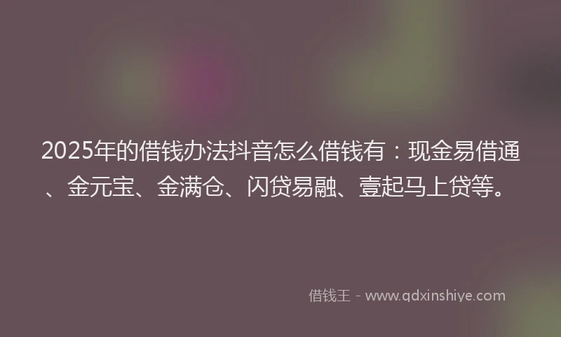 2025年的借钱办法抖音怎么借钱有：现金易借通、金元宝、金满仓、闪贷易融、壹起马上贷等。