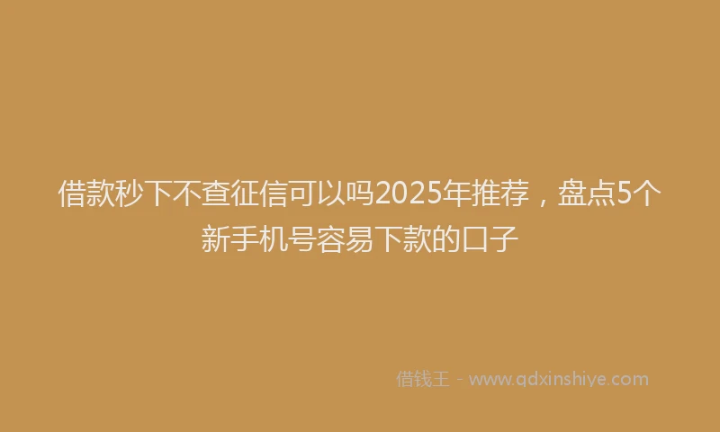 借款秒下不查征信可以吗2025年推荐，盘点5个新手机号容易下款的口子