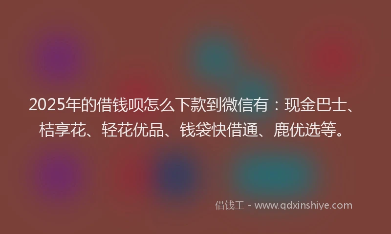 2025年的借钱呗怎么下款到微信有：现金巴士、桔享花、轻花优品、钱袋快借通、鹿优选等。
