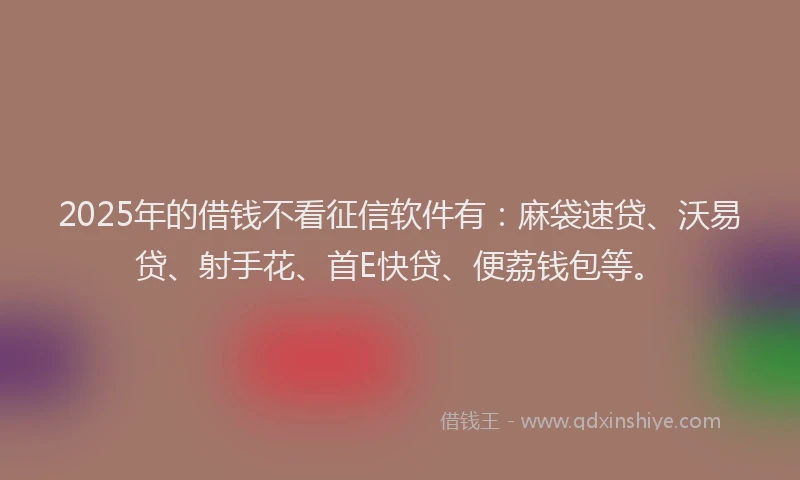 2025年的借钱不看征信软件有:麻袋速贷、沃易贷、射手花、首E快贷、便荔钱包等。