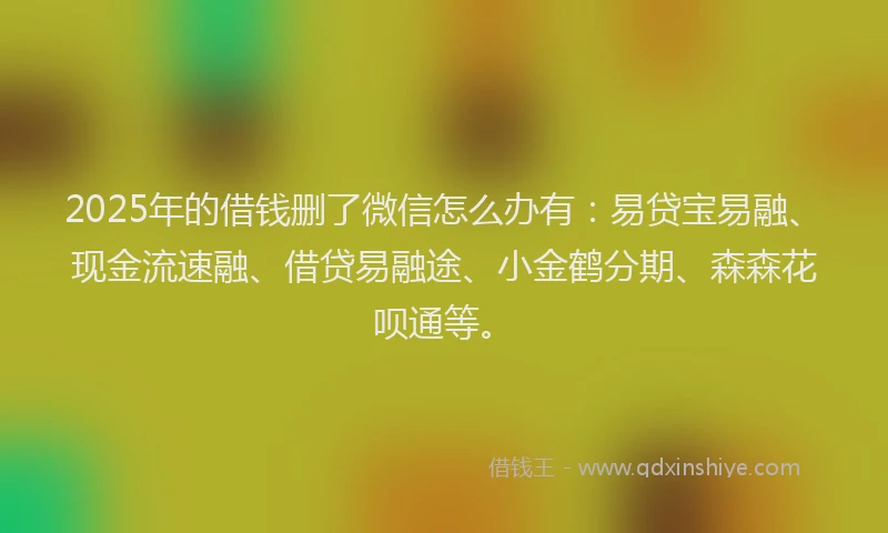 2025年的借钱删了微信怎么办有：易贷宝易融、现金流速融、借贷易融途、小金鹤分期、森森花呗通等。