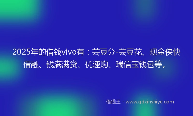 2025年的借钱vivo有：芸豆分-芸豆花、现金侠快借融、钱满满贷、优速购、瑞信宝钱包等。