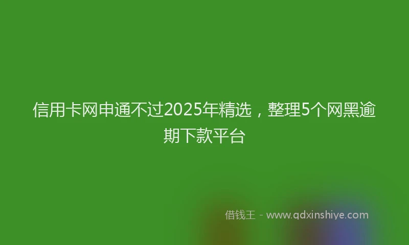 信用卡网申通不过2025年精选，整理5个网黑逾期下款平台
