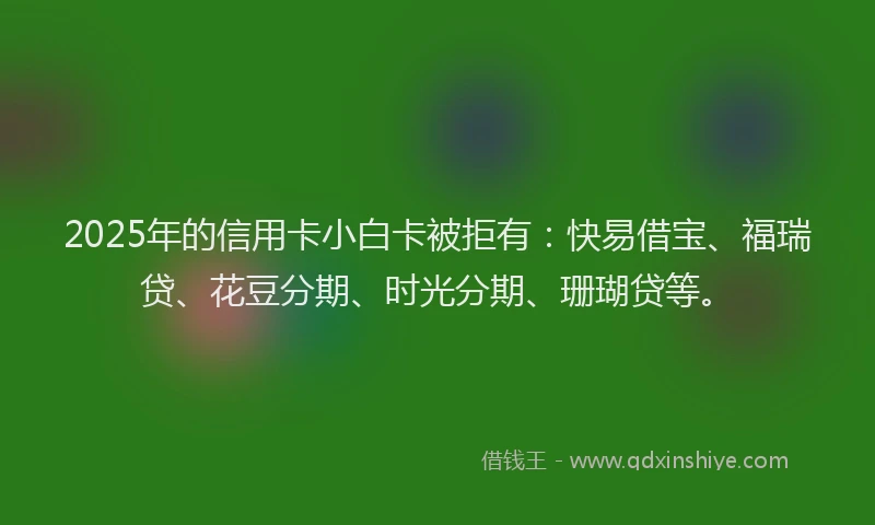 2025年的信用卡小白卡被拒有：快易借宝、福瑞贷、花豆分期、时光分期、珊瑚贷等。
