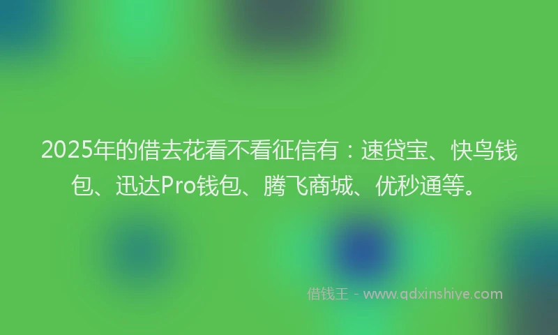 2025年的借去花看不看征信有：速贷宝、快鸟钱包、迅达Pro钱包、腾飞商城、优秒通等。