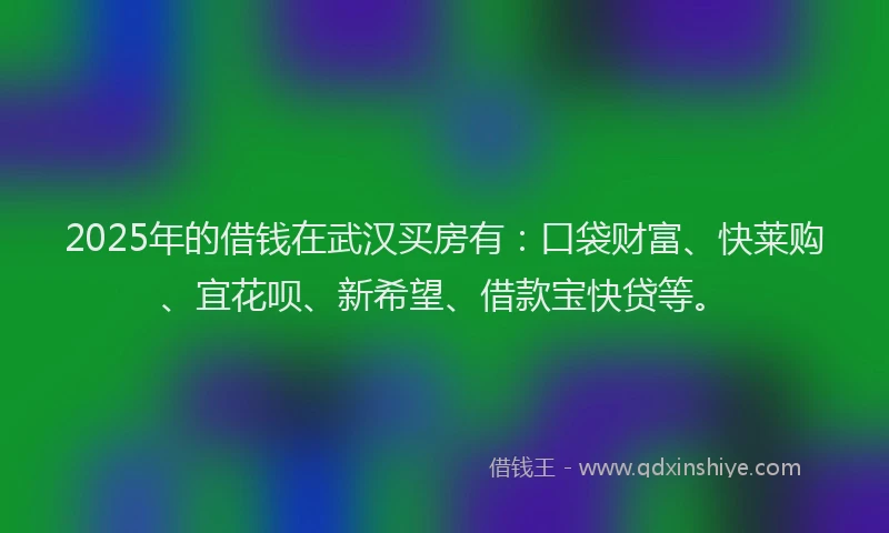 2025年的借钱在武汉买房有：口袋财富、快莱购、宜花呗、新希望、借款宝快贷等。