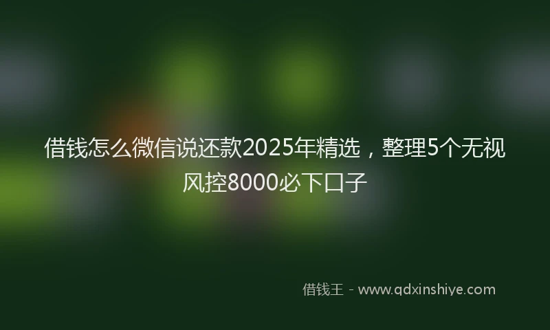 借钱怎么微信说还款2025年精选，整理5个无视风控8000必下口子
