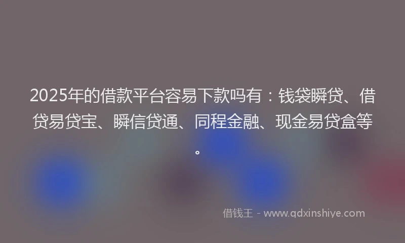 2025年的借款平台容易下款吗有：钱袋瞬贷、借贷易贷宝、瞬信贷通、同程金融、现金易贷盒等。