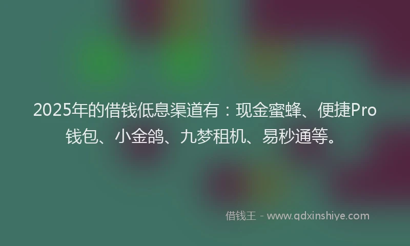 2025年的借钱低息渠道有：现金蜜蜂、便捷Pro钱包、小金鸽、九梦租机、易秒通等。