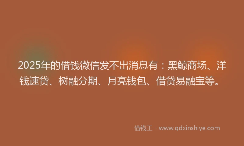 2025年的借钱微信发不出消息有：黑鲸商场、洋钱速贷、树融分期、月亮钱包、借贷易融宝等。
