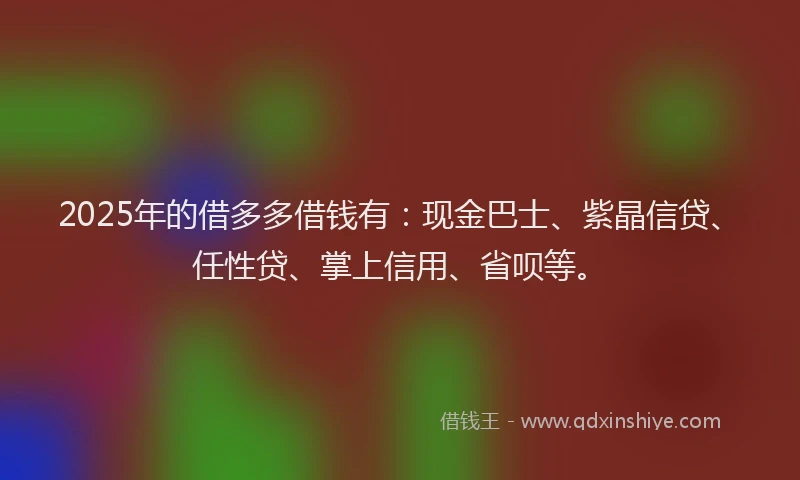 2025年的借多多借钱有:现金巴士、紫晶信贷、任性贷、掌上信用、省呗等。