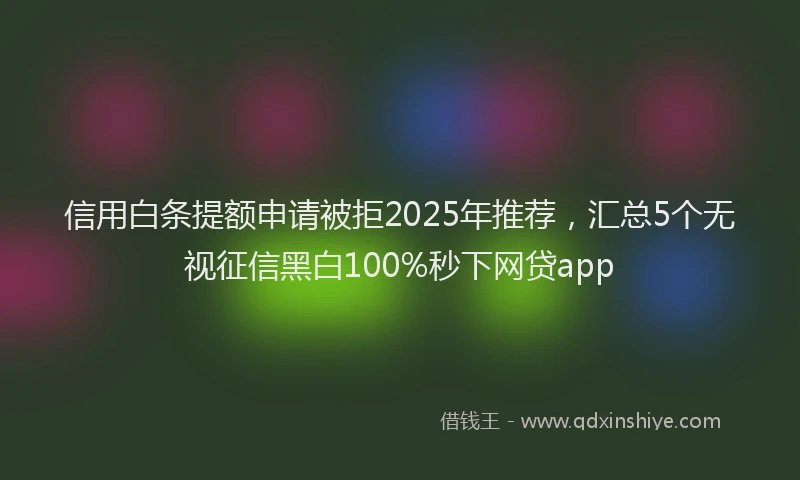 信用白条提额申请被拒2025年推荐，汇总5个无视征信黑白100%秒下网贷app