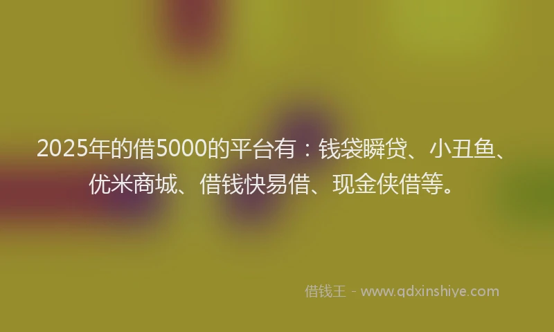 2025年的借5000的平台有：钱袋瞬贷、小丑鱼、优米商城、借钱快易借、现金侠借等。