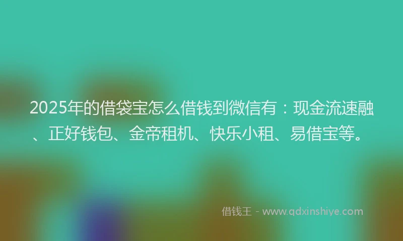 2025年的借袋宝怎么借钱到微信有：现金流速融、正好钱包、金帝租机、快乐小租、易借宝等。