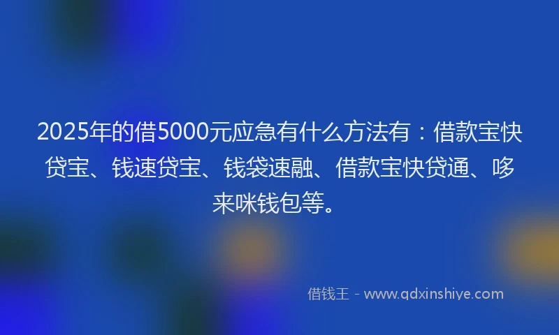 2025年的借5000元应急有什么方法有：借款宝快贷宝、钱速贷宝、钱袋速融、借款宝快贷通、哆来咪钱包等。
