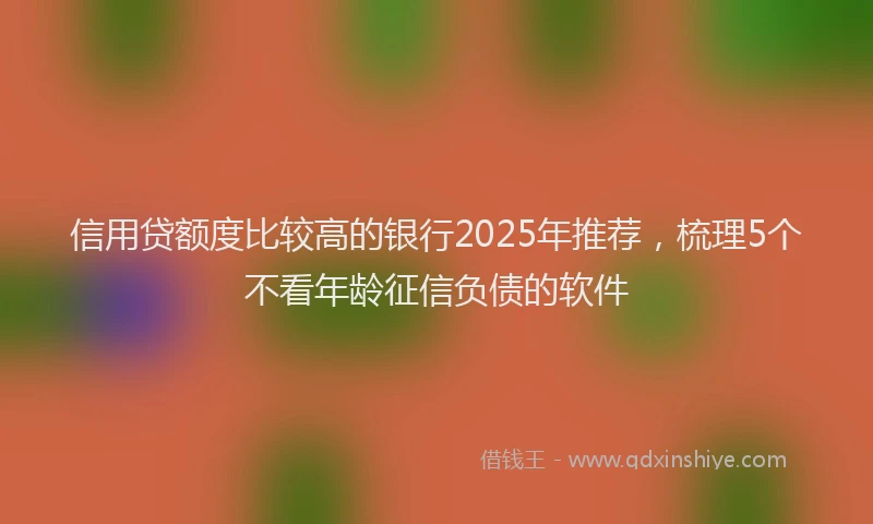信用贷额度比较高的银行2025年推荐，梳理5个不看年龄征信负债的软件