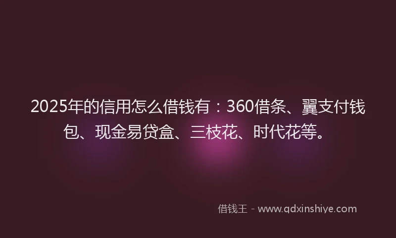 2025年的信用怎么借钱有:360借条、翼支付钱包、现金易贷盒、三枝花、时代花等。