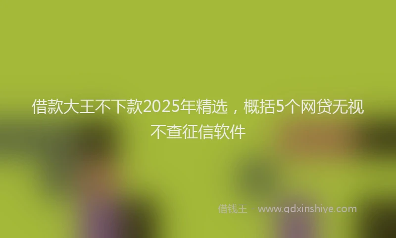 借款大王不下款2025年精选，概括5个网贷无视不查征信软件