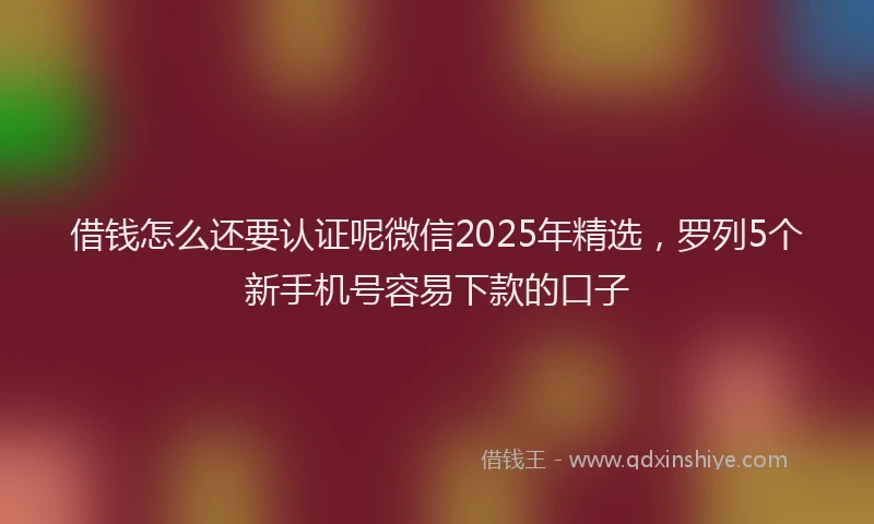 借钱怎么还要认证呢微信2025年精选，罗列5个新手机号容易下款的口子