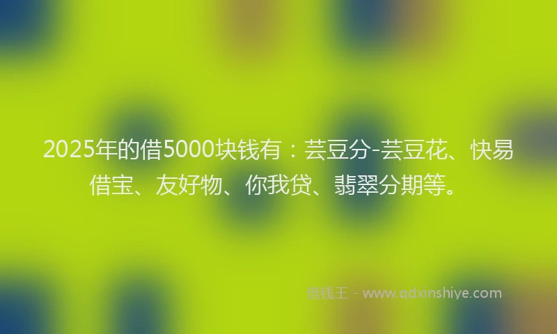 2025年的借5000块钱有：芸豆分-芸豆花、快易借宝、友好物、你我贷、翡翠分期等。
