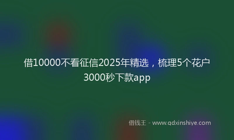 借10000不看征信2025年精选，梳理5个花户3000秒下款app