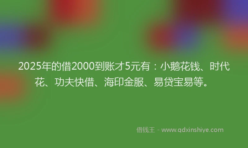 2025年的借2000到账才5元有：小鹅花钱、时代花、功夫快借、海印金服、易贷宝易等。