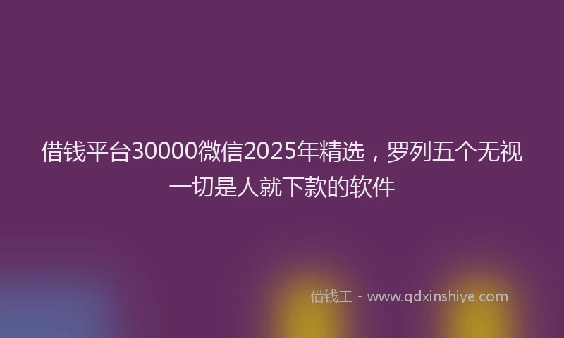 借钱平台30000微信2025年精选，罗列五个无视一切是人就下款的软件