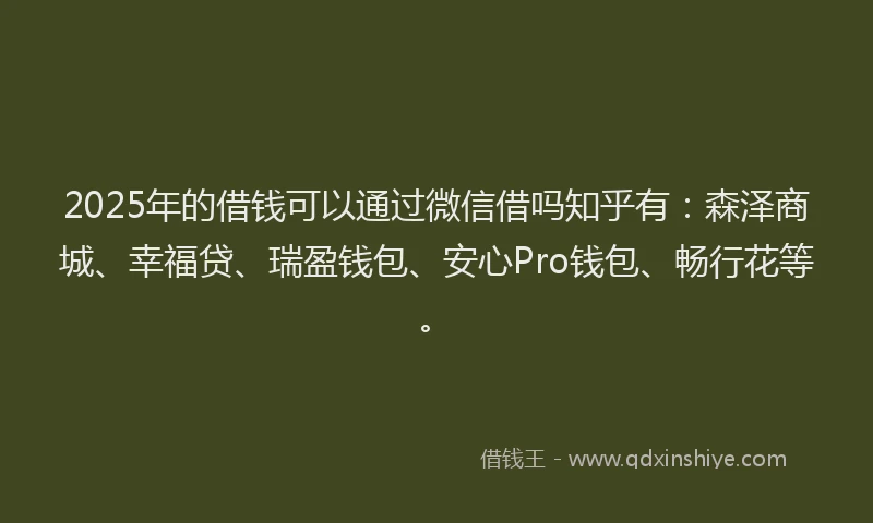 2025年的借钱可以通过微信借吗知乎有：森泽商城、幸福贷、瑞盈钱包、安心Pro钱包、畅行花等。
