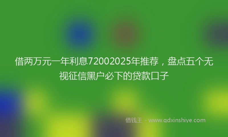 借两万元一年利息72002025年推荐，盘点五个无视征信黑户必下的贷款口子