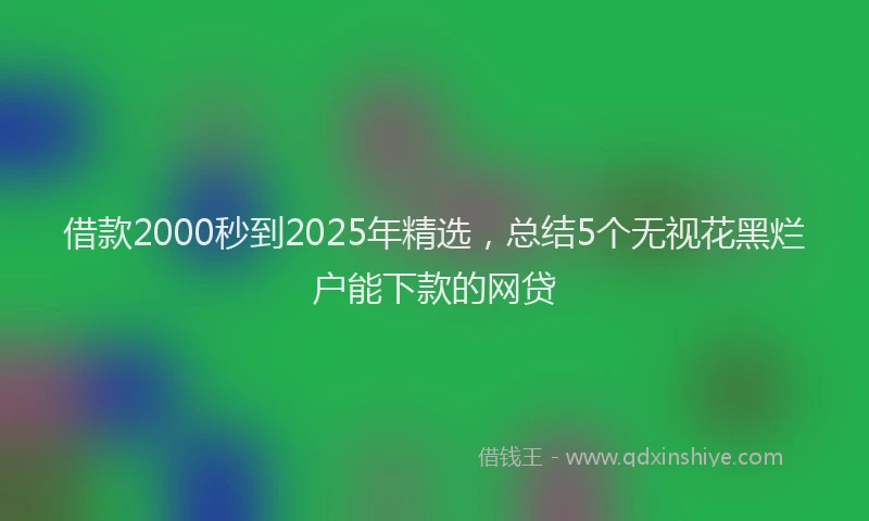 借款2000秒到2025年精选，总结5个无视花黑烂户能下款的网贷