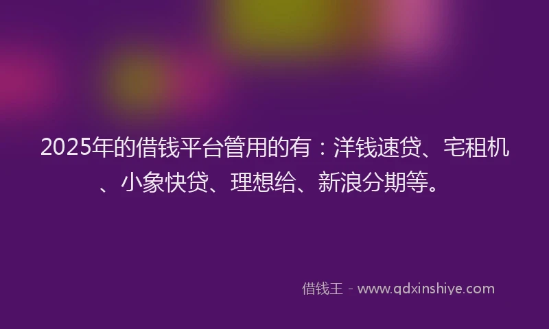 2025年的借钱平台管用的有：洋钱速贷、宅租机、小象快贷、理想给、新浪分期等。