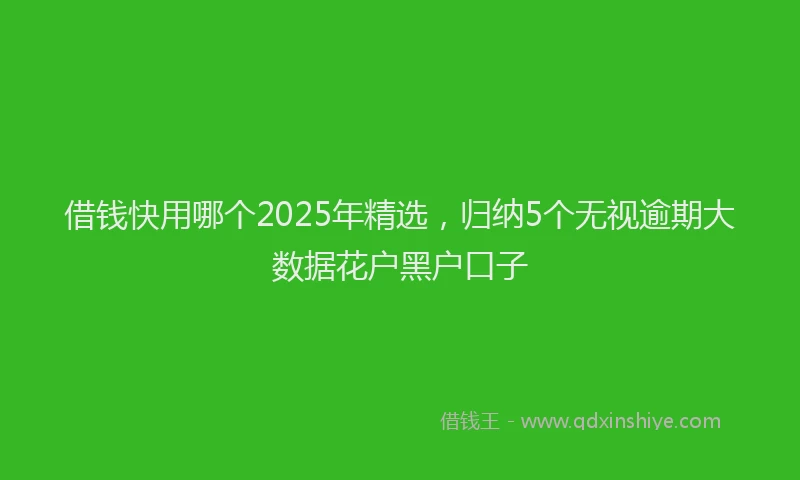 借钱快用哪个2025年精选，归纳5个无视逾期大数据花户黑户口子