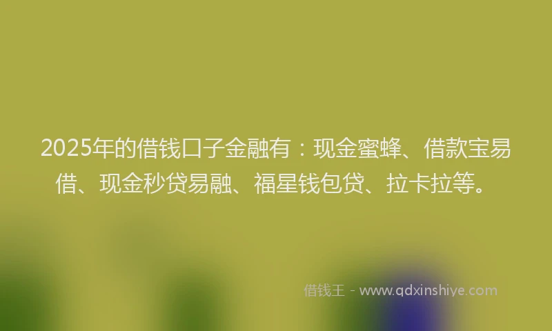 2025年的借钱口子金融有：现金蜜蜂、借款宝易借、现金秒贷易融、福星钱包贷、拉卡拉等。
