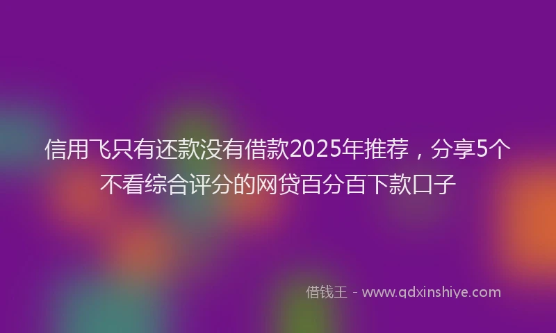 信用飞只有还款没有借款2025年推荐，分享5个不看综合评分的网贷百分百下款口子