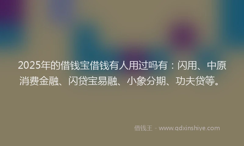 2025年的借钱宝借钱有人用过吗有：闪用、中原消费金融、闪贷宝易融、小象分期、功夫贷等。