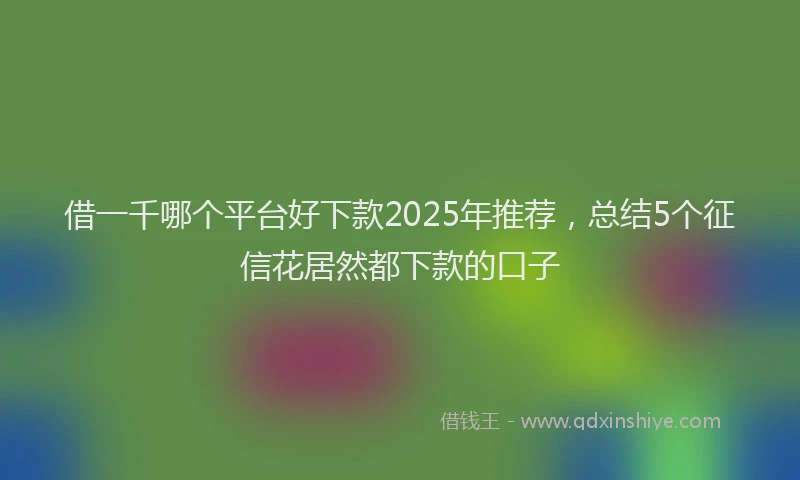 借一千哪个平台好下款2025年推荐，总结5个征信花居然都下款的口子