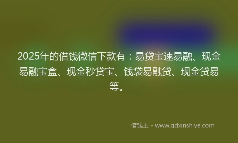 2025年的借钱微信下款有：易贷宝速易融、现金易融宝盒、现金秒贷宝、钱袋易融贷、现金贷易等。