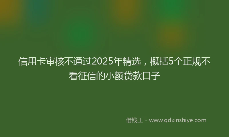 信用卡审核不通过2025年精选，概括5个正规不看征信的小额贷款口子
